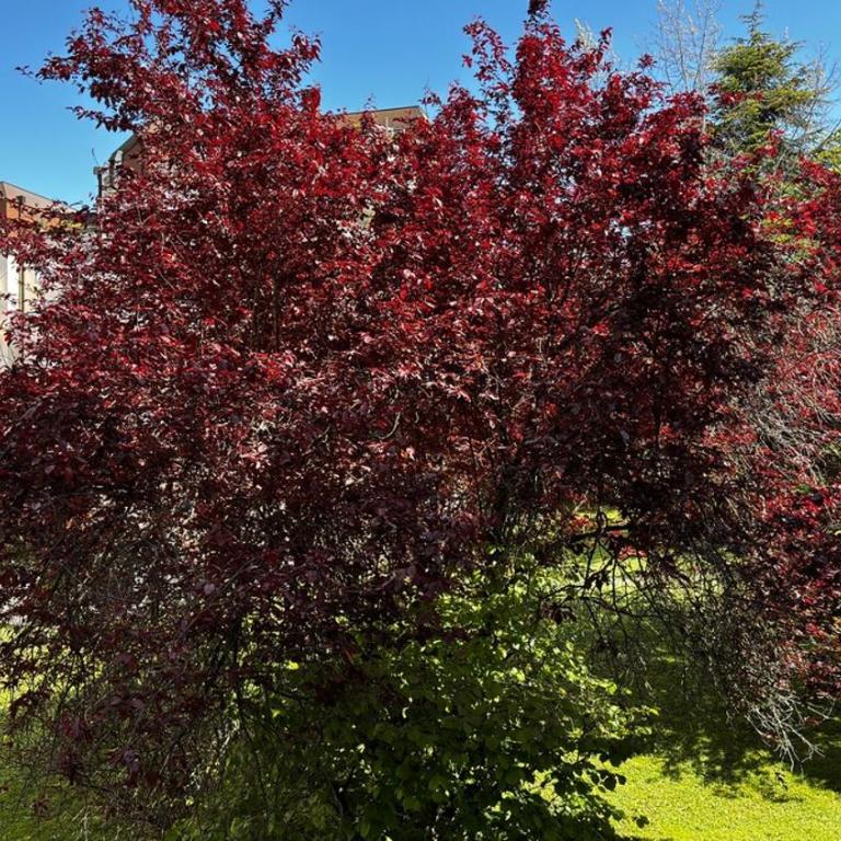 Le cosy avec climatisation, terrasse et parking privatif - Appartement 1 Chambre - 20