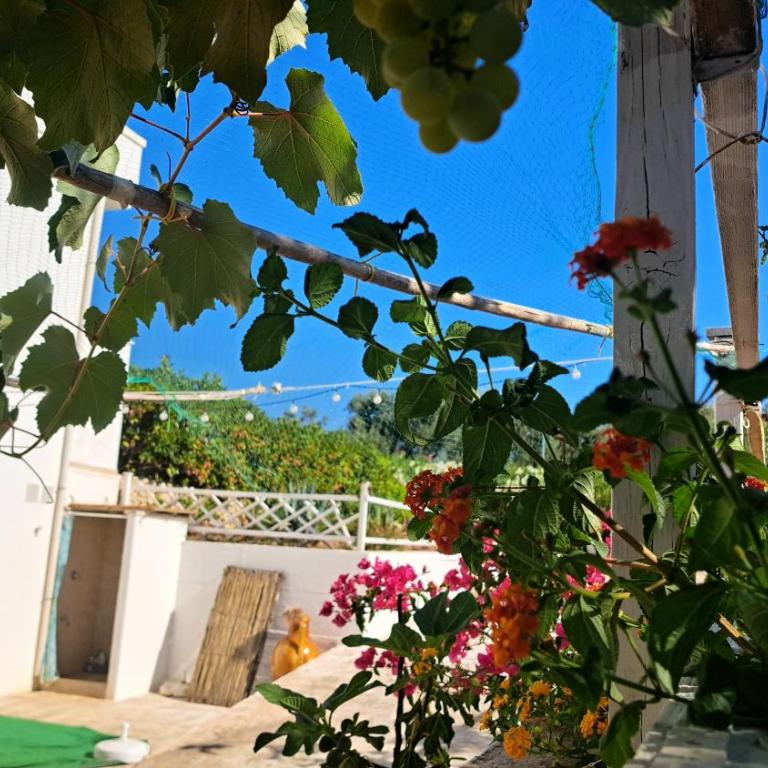 Casa di campagna - Casa con 1 Camera da Letto - 36