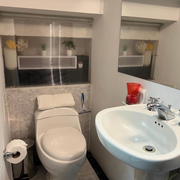 ¿Lejos de tu hogar? Aquí te sentirás a gusto. - Suite Junior - 16