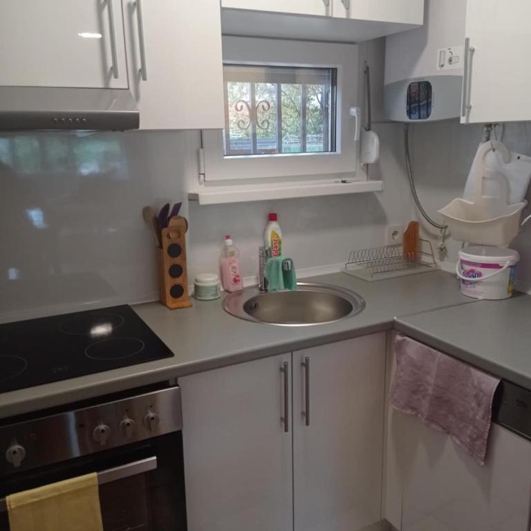 Little Joy Lodge , Loč Mala Radost - Three-Bedroom Apartment Suite - 18