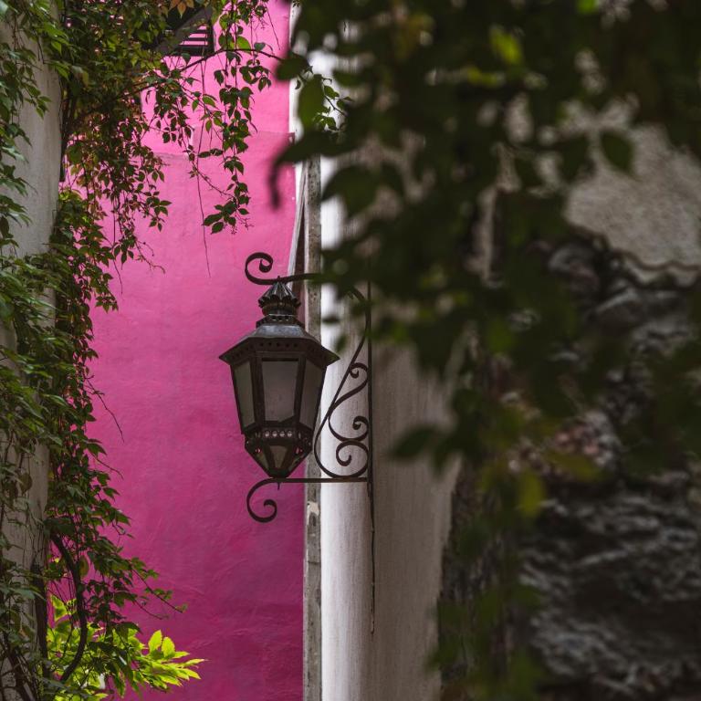 LUXO Casa en San Miguel de Allende Centro con Vistas Panorámicas - Casa de 5 dormitorios - 25