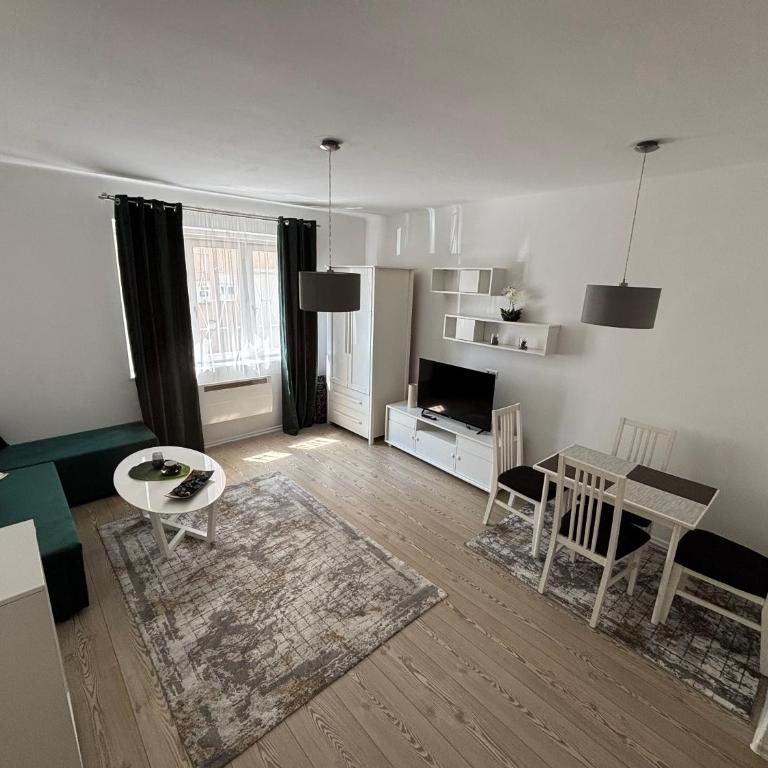 Sarajevo Festival Apartment - Apartman sa 1 Spavaćom Sobom - 3
