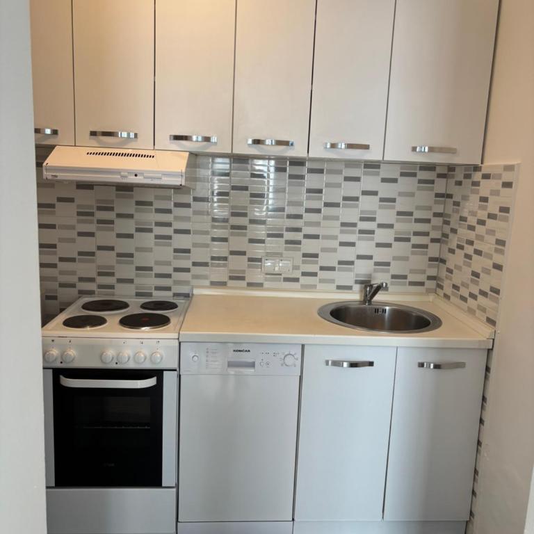 Sarajevo Festival Apartment - Apartman sa 1 Spavaćom Sobom - 19