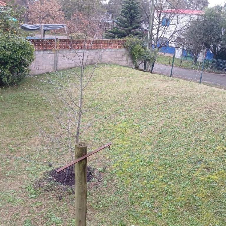 Descanso en Piriápolis - Casa - 16
