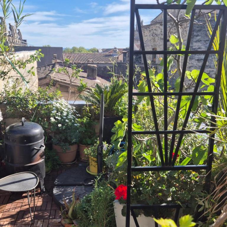Un nid sur les toits face au palais des papes - Two-Bedroom Apartment - 35