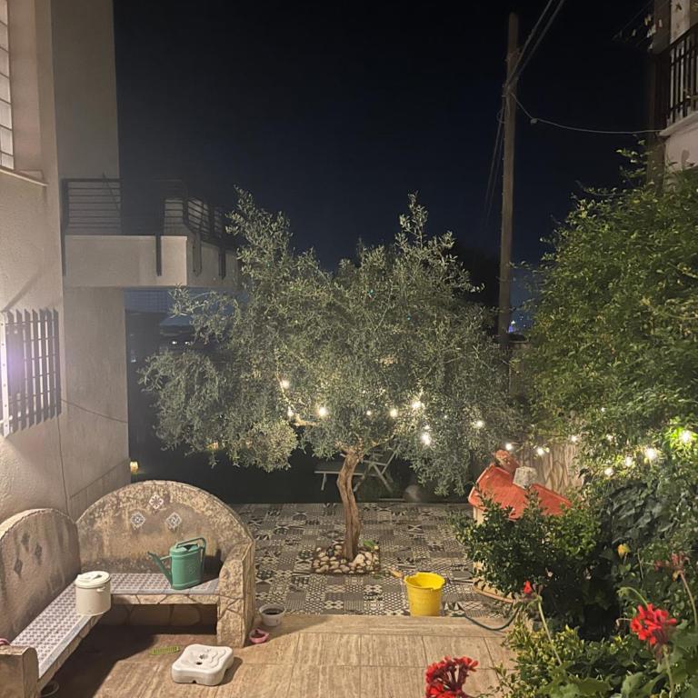 Villa Giulia Maria - Apartment mit 1 Schlafzimmer - 45
