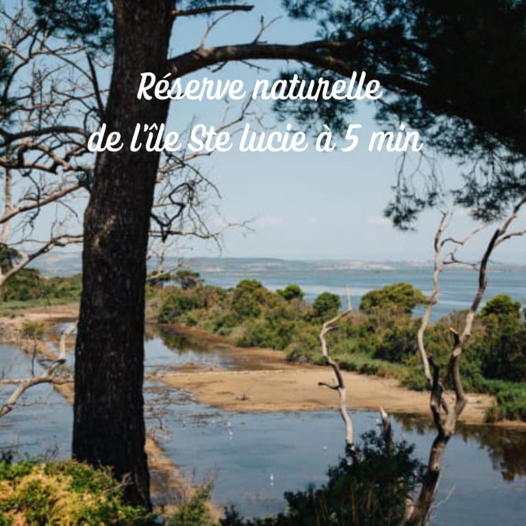 Entre Mer et Roseaux - Piscine chauffée - Proche centre et mer - Animaux bienvenus - Mobile Home - 17