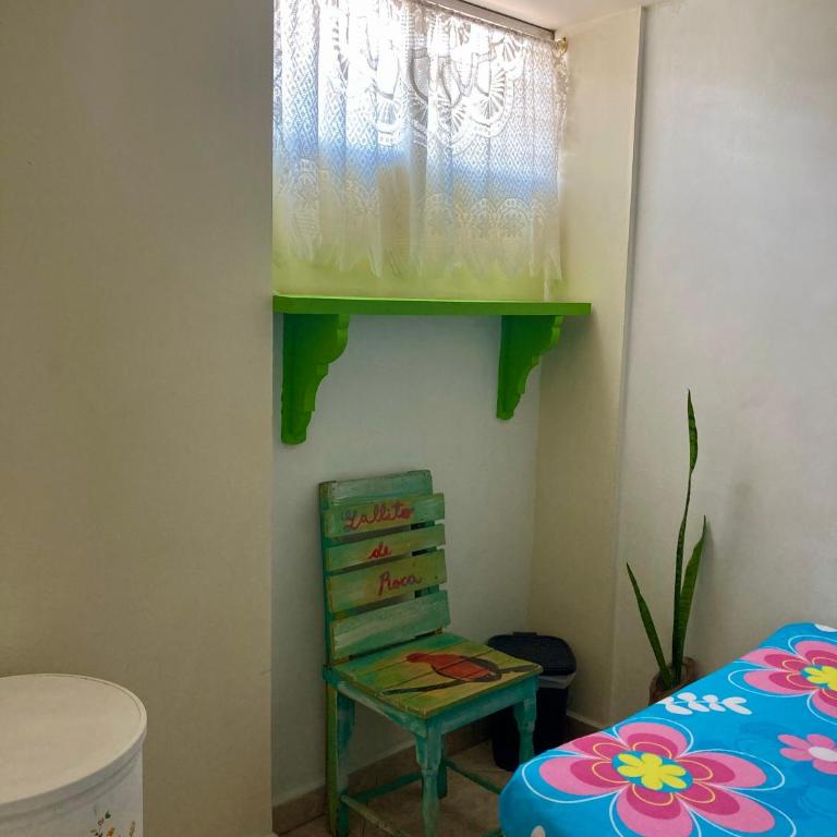 Gallito de Roca - Single Room - 1