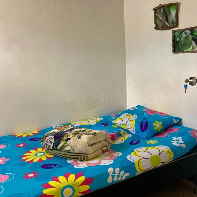 Gallito de Roca - Single Room - 2