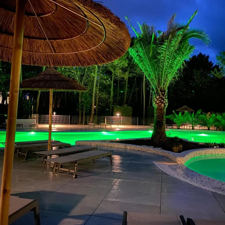 Dune Prestige & Chalets - Chalet con 2 Camere da Letto - 3