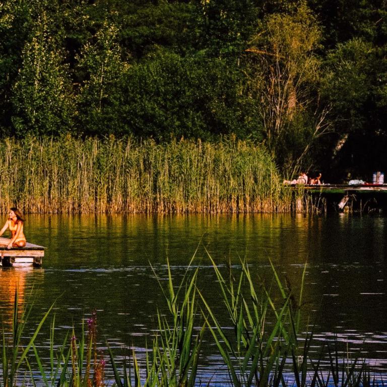 Lansersee Lake Chalet - Villa - 46