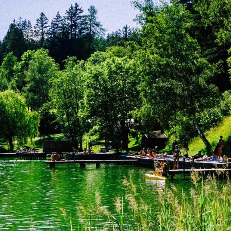 Lansersee Lake Chalet - Villa - 58