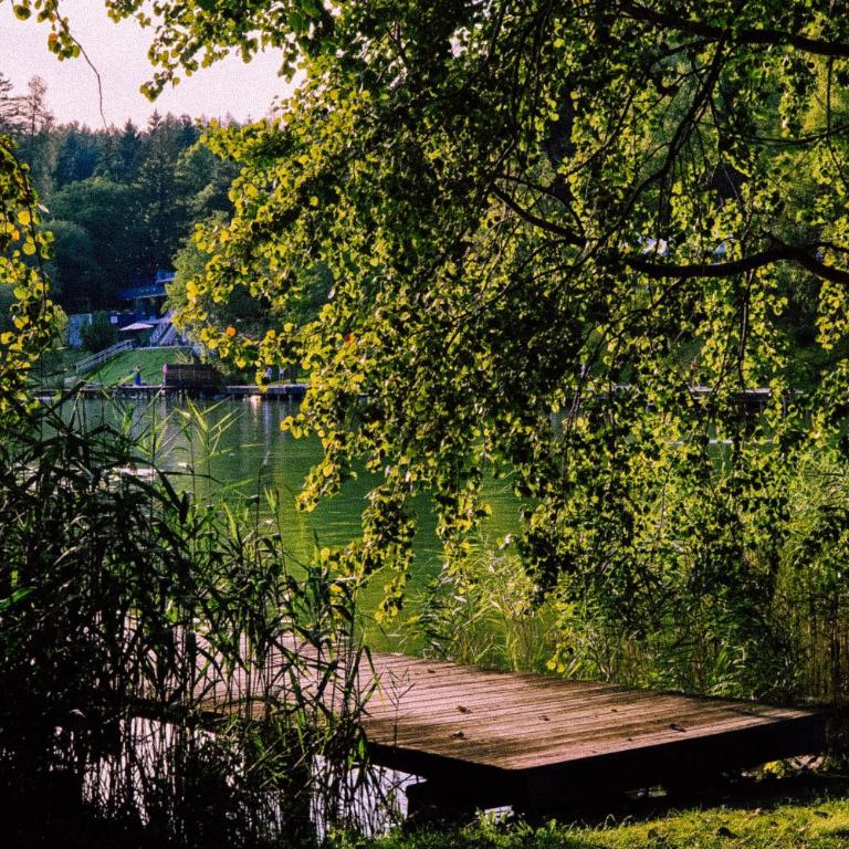 Lansersee Lake Chalet - Villa - 51