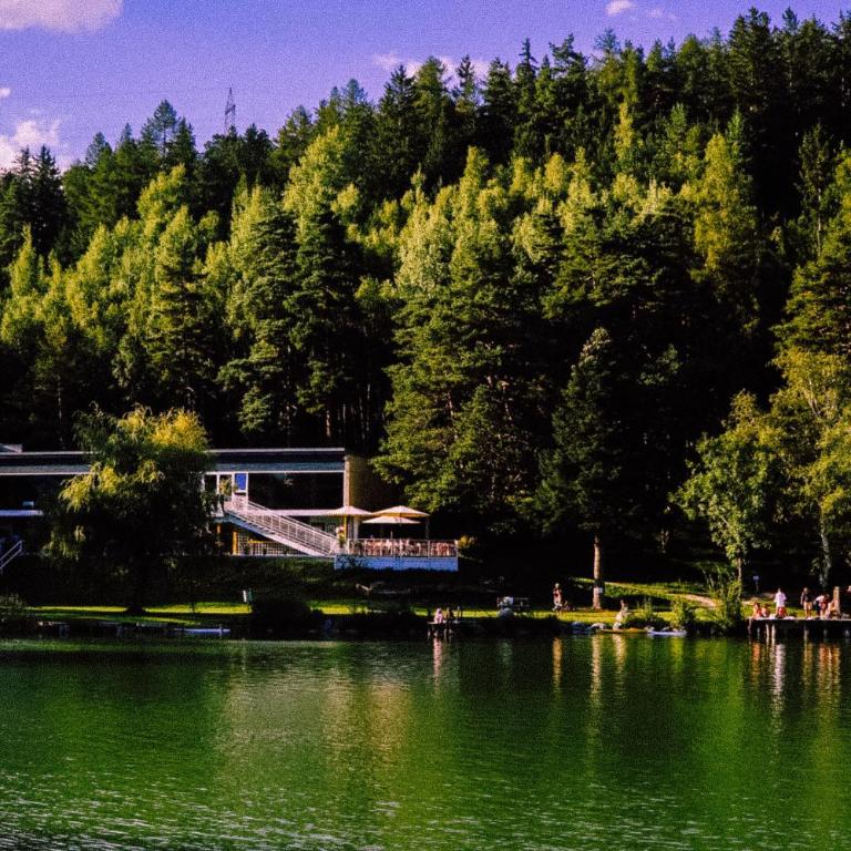 Lansersee Lake Chalet - Villa - 55