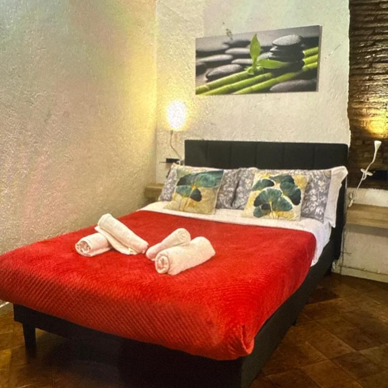 Arco acetari-Il medio evo nel cuore di roma - Appartamento con 1 Camera da Letto - 3