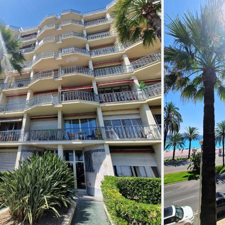 Nestor&Jeeves - PROMENADE DU SUD - Vue Mer - Appartement - Vue sur Mer - 21