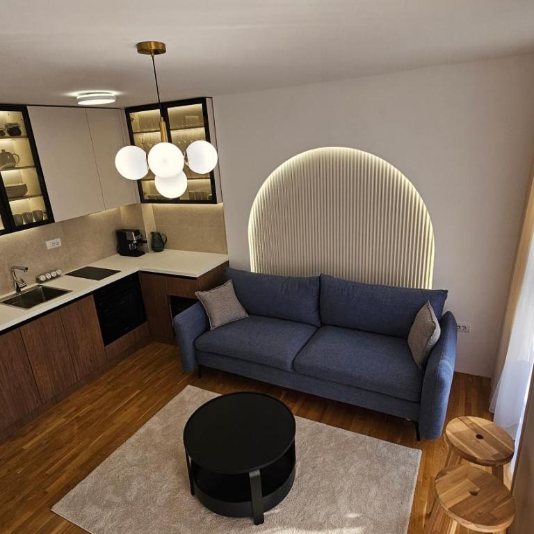 Sila apartman Vrnjačka Banja - Apartman sa 1 Spavaćom Sobom - 1