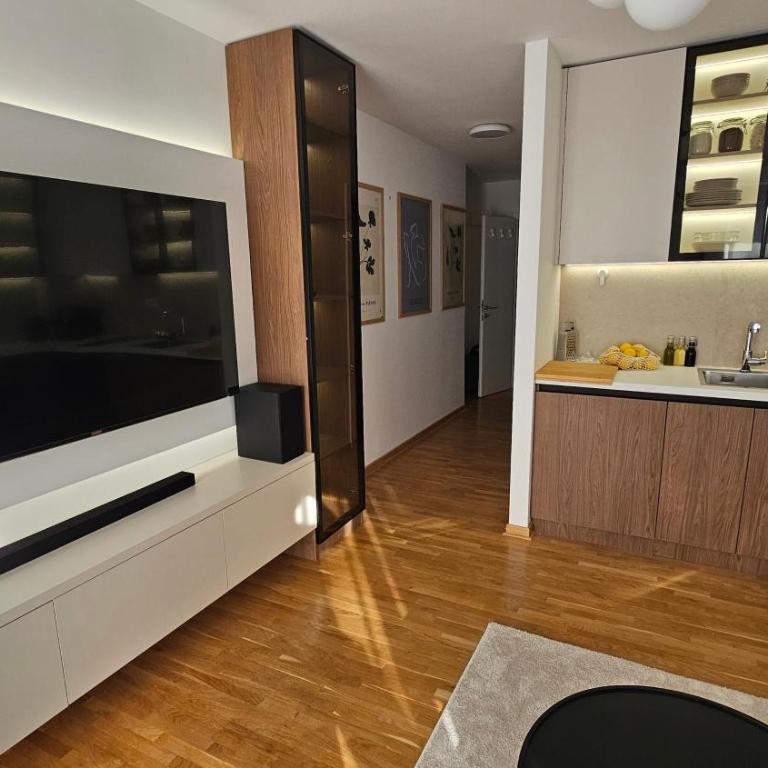 Sila apartman Vrnjačka Banja - Apartman sa 1 Spavaćom Sobom - 2