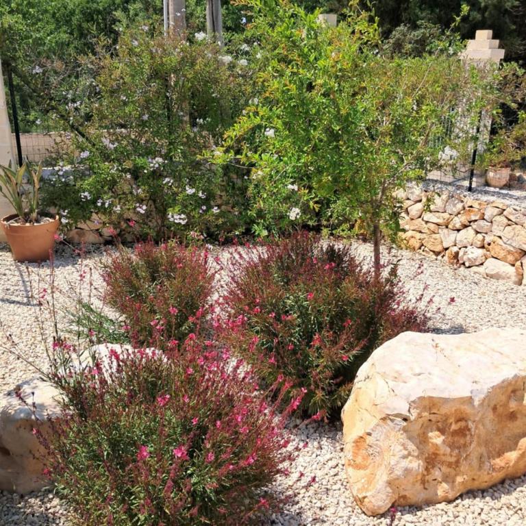 Trullo Sotto Le Stelle, with private pool & garden - One-Bedroom House - 26