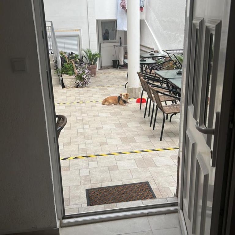 Apartmani Amira Sutomore - Dvokrevetna Soba s Bračnim Krevetom s Pogledom na Vrt - 1