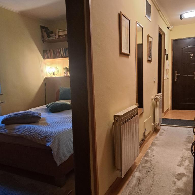Room in the Zara apartment-Centre of the city - Dvokrevetna Soba sa Bračnim Krevetom - 4
