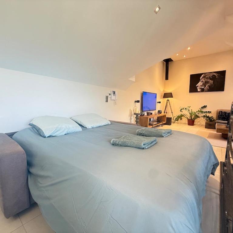 Prestige Hyper Centre Veranda Climatisation - Appartement - 16