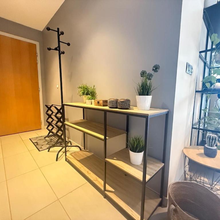 Prestige Hyper Centre Veranda Climatisation - Appartement - 74