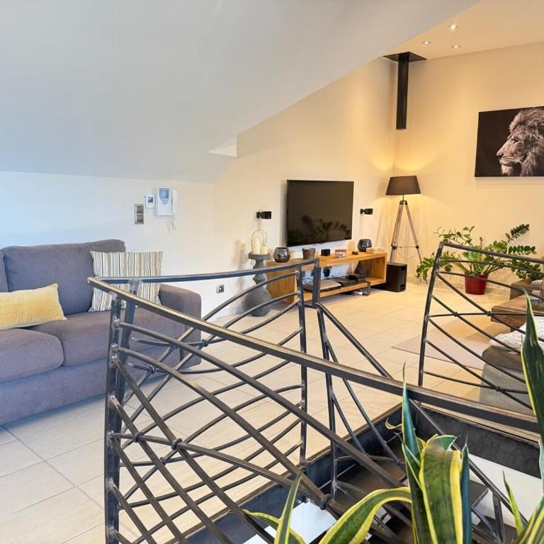 Prestige Hyper Centre Veranda Climatisation - Appartement - 66