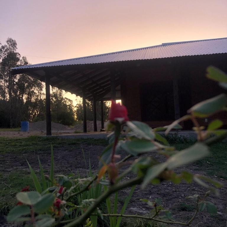 Cabaña, MonteAlto - Casa con 1 dormitorio - 13