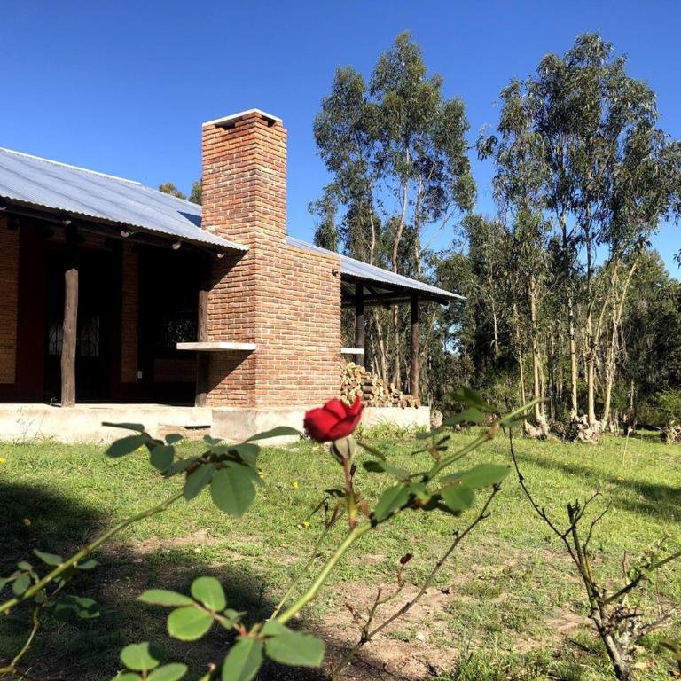 Cabaña, MonteAlto - Casa con 1 dormitorio - 21