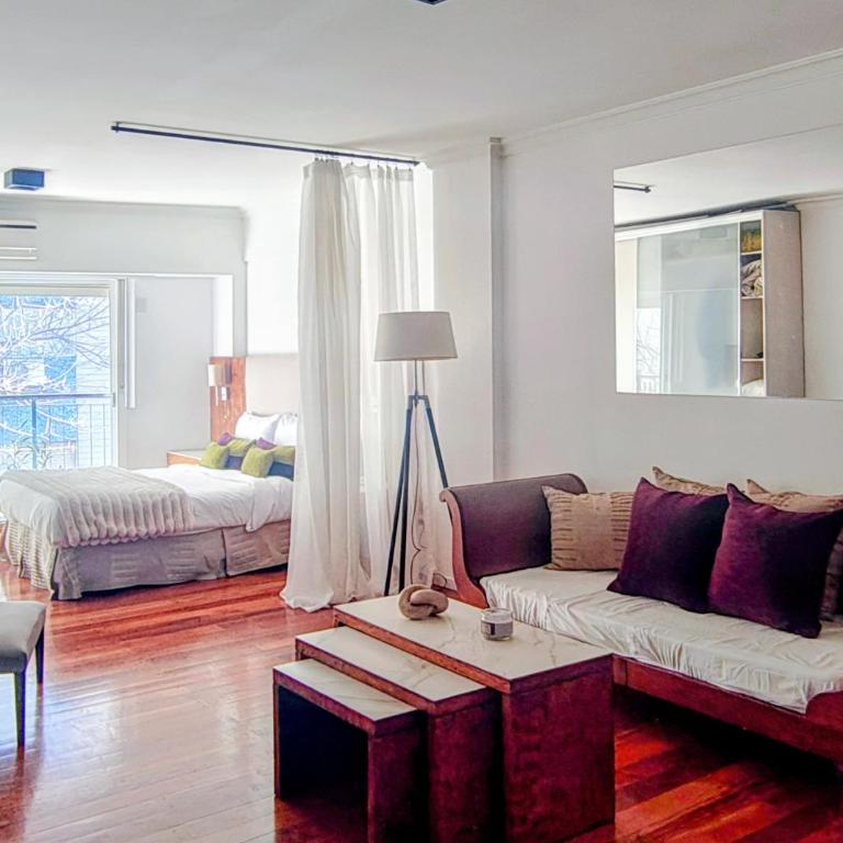 Recoleta Luminoso y completo departamento - Apartamento de 1 dormitorio - 1