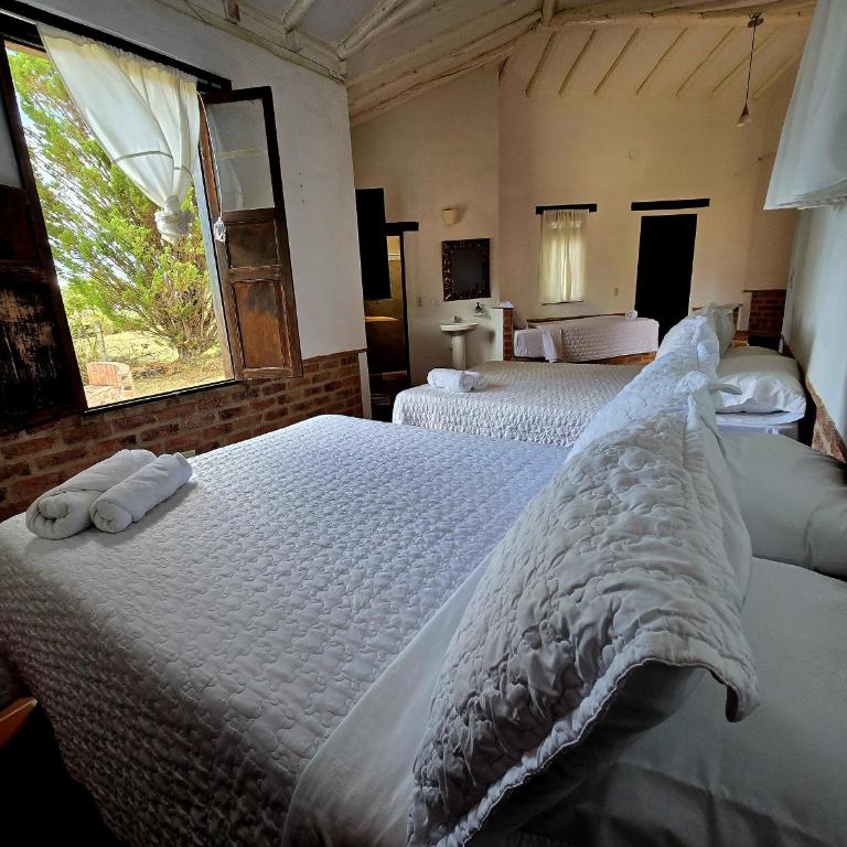 Hotel Montelux - Standard Family Room - 11
