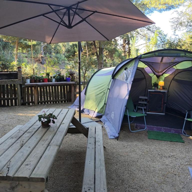 Glamping Puertecillo Surf & Camp - Tienda - 22