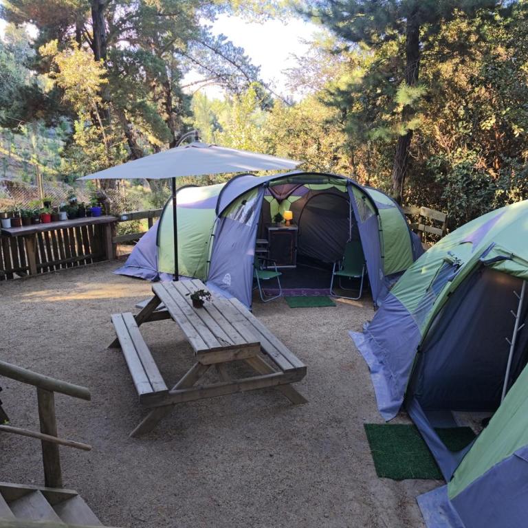 Glamping Puertecillo Surf & Camp - Tienda - 2