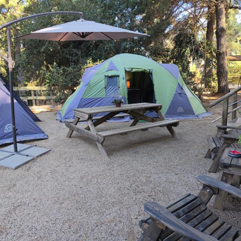 Glamping Puertecillo Surf & Camp - Tienda - 6