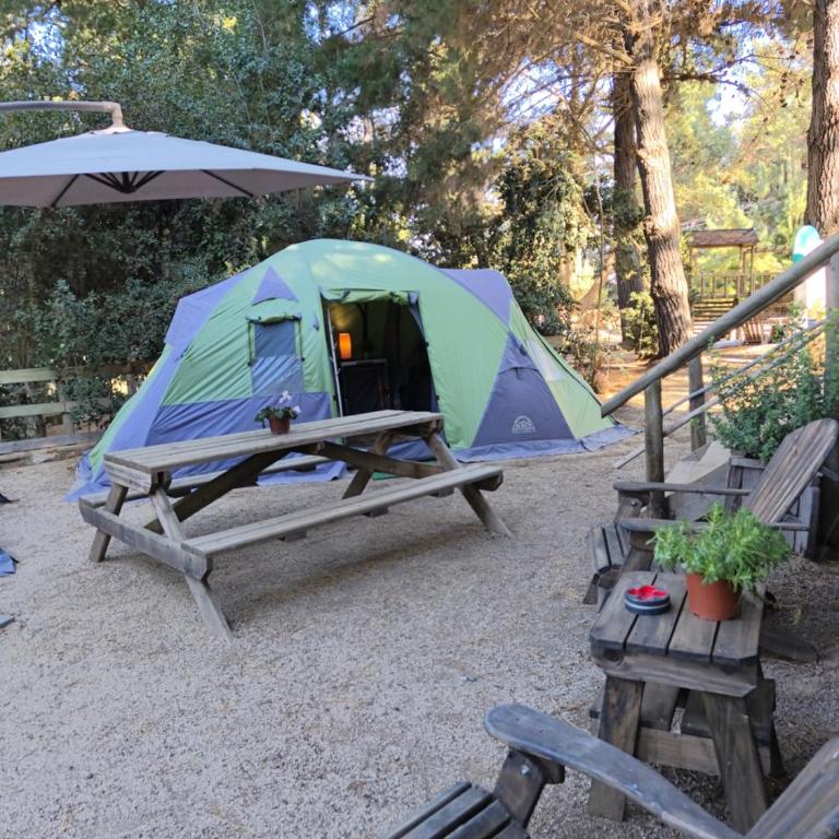 Glamping Puertecillo Surf & Camp - Tienda - 8