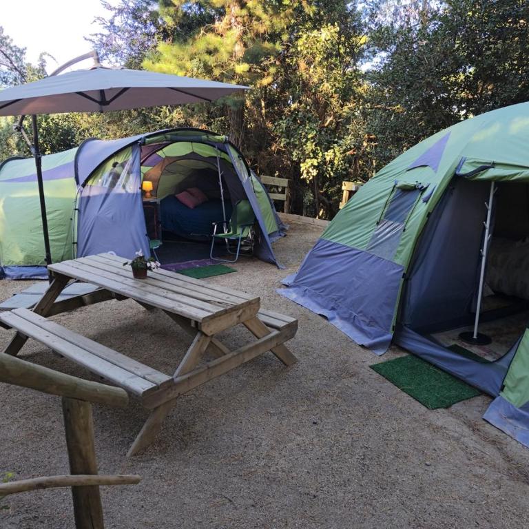 Glamping Puertecillo Surf & Camp - Tienda - 9