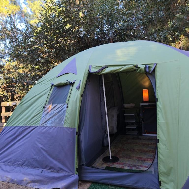 Glamping Puertecillo Surf & Camp - Tienda - 14