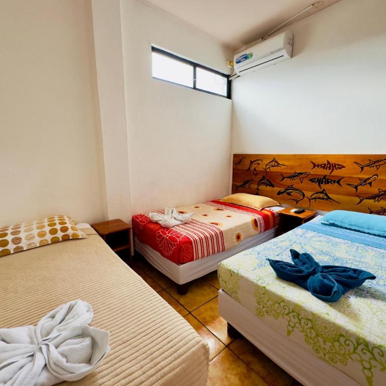 Tintorera Guest House - Budget Triple Room - 15