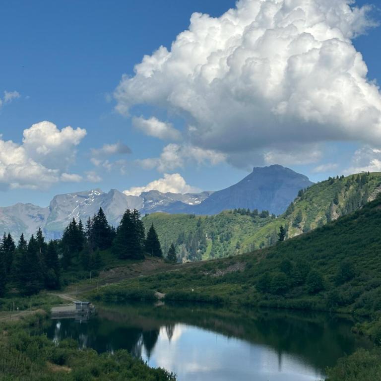 Arve et Giffre Samoens 1600 - Appartamento con 1 Camera da Letto - 13