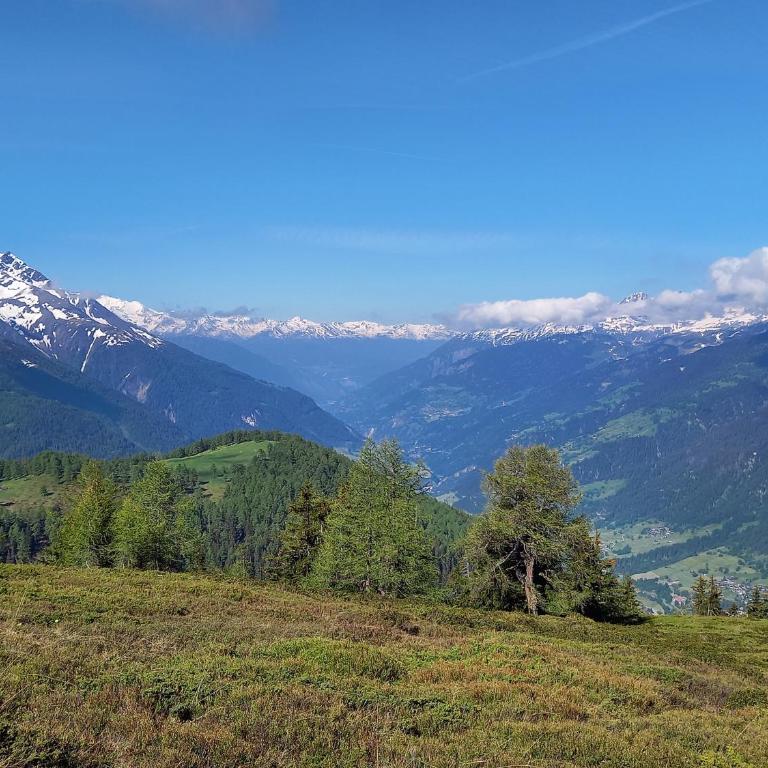 Wohnung mit schöner Sicht auf Bergpanorama und übers Tal - Apartment mit 1 Schlafzimmer - 65