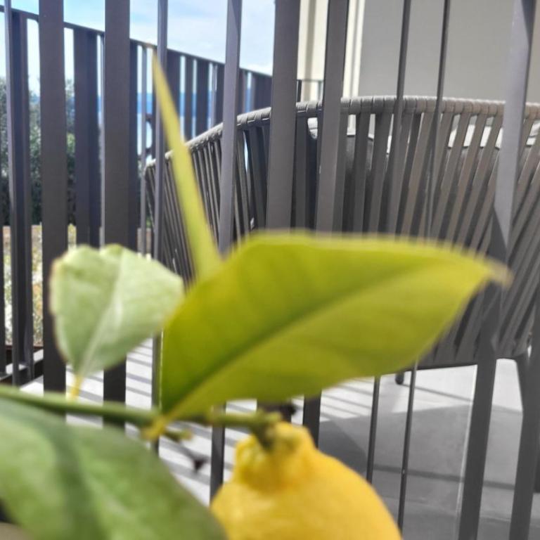 Attilio High Living Suites - Adults Only - Deluxe Suite mit Kingsize-Bett, seitlichem Seeblick und Balkon - 12