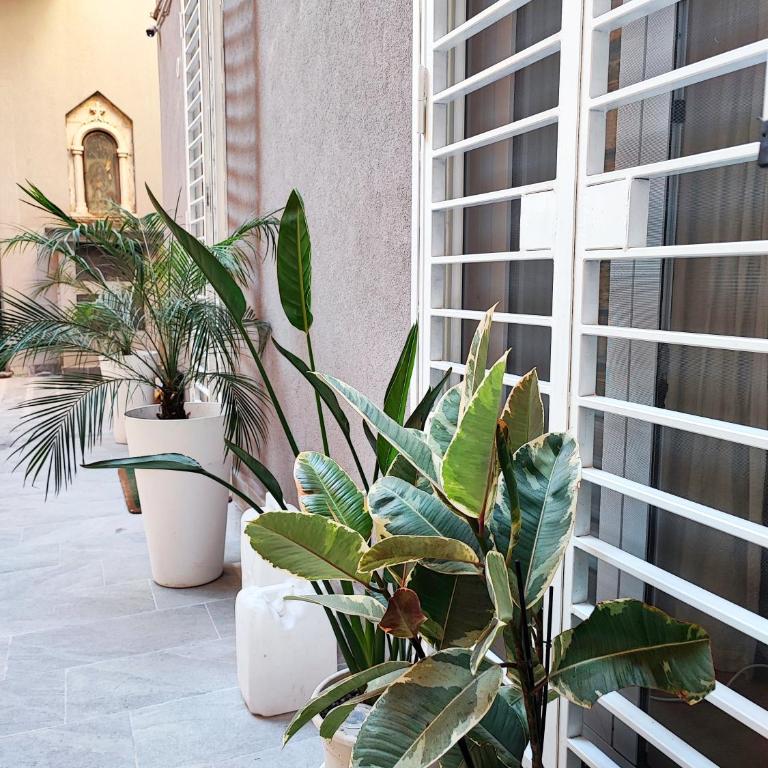 Morgana Luxury Apartment - One-Bedroom Apartment - Non-Smoking - 30