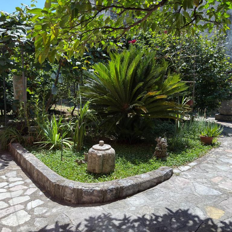 Apartment Pinebreeze - Prčanj - Kotor - Apartment - Ground Floor - 9