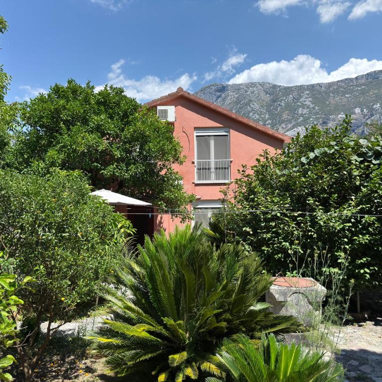 Apartment Pinebreeze - Prčanj - Kotor - Apartment - Ground Floor - 7