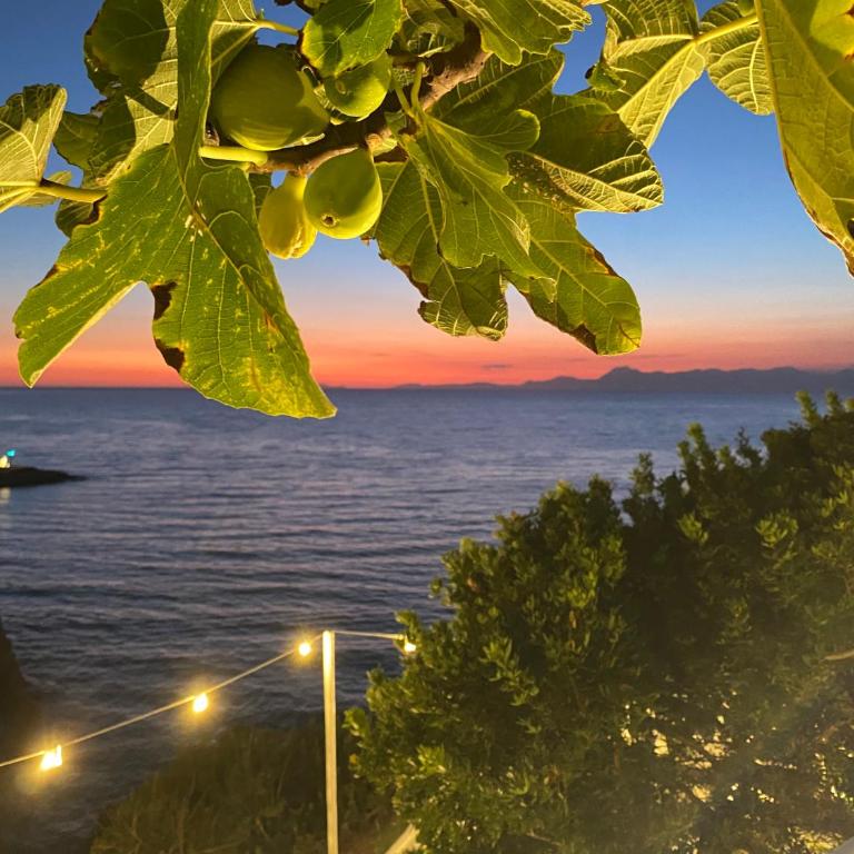 Appartamenti Sole Mare Agropoli - Appartamento con 1 Camera da Letto - 50