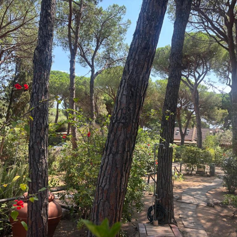 Deliziosa villetta sul mare - Appartamento con 2 Camere da Letto - 26