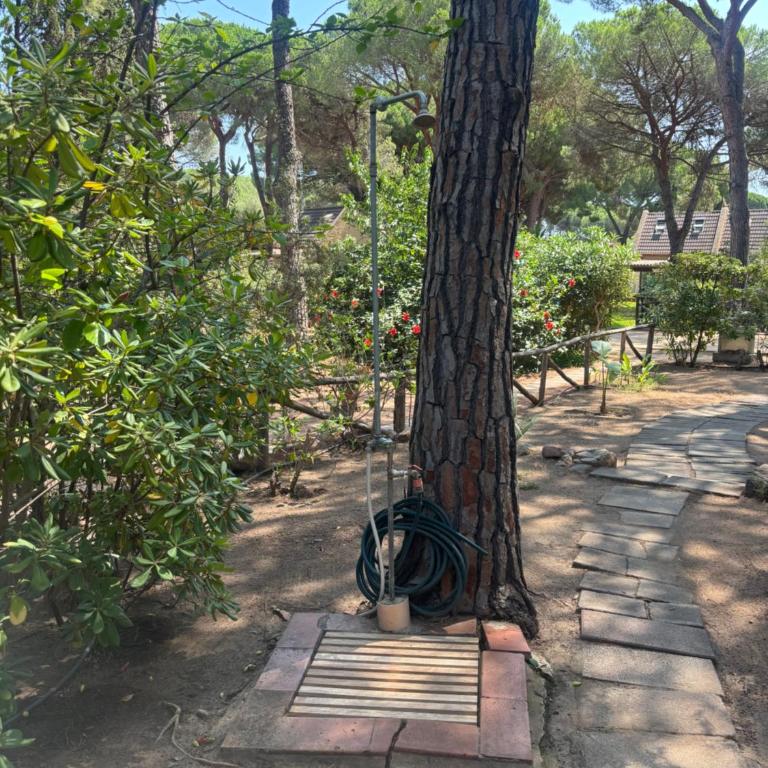 Deliziosa villetta sul mare - Appartamento con 2 Camere da Letto - 27