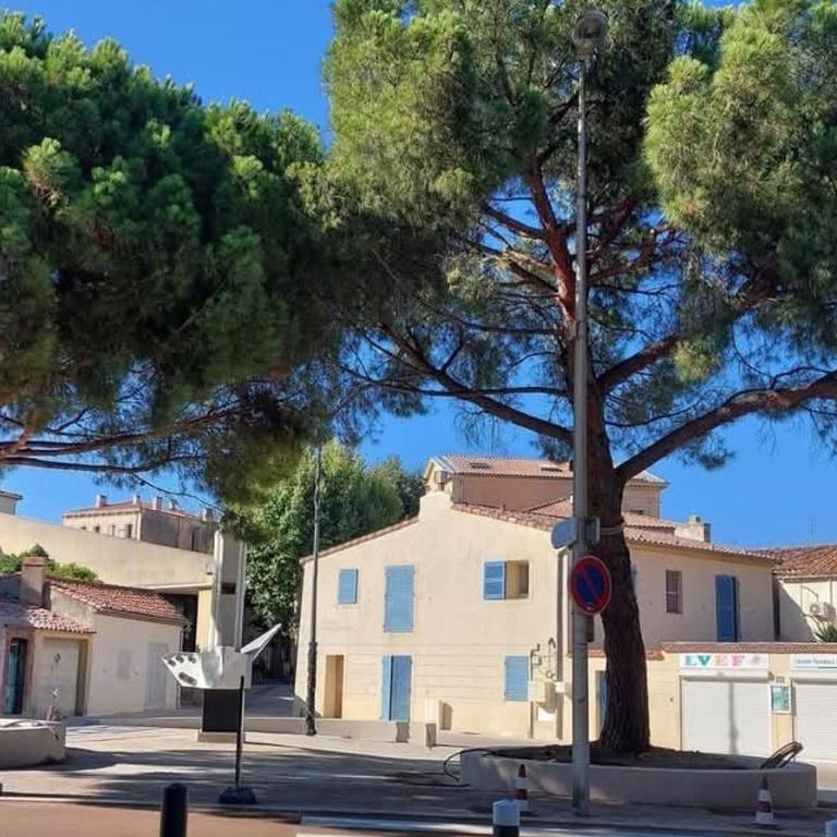 Magnifique studio - Augusta Résidence du Port - à 50 m du vieux Port et de ses animations - Studio mit Gartenblick - 1