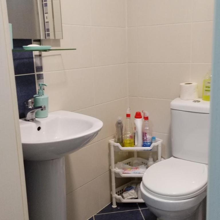 Apartman Sunshine - Apartman sa 1 Spavaćom Sobom - 7